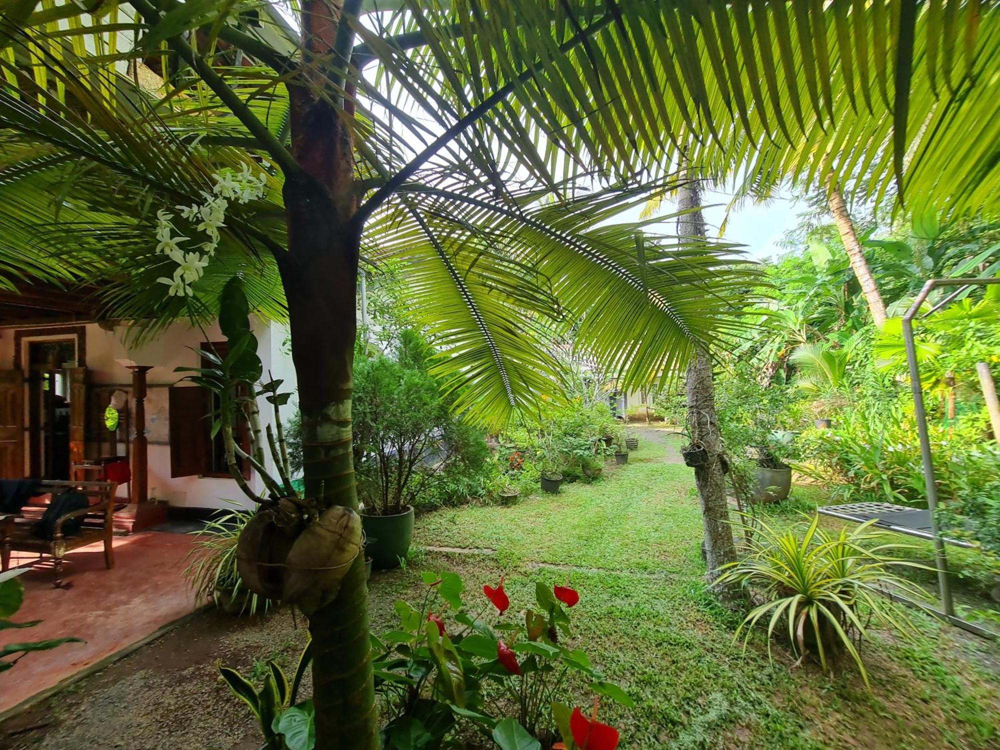 Hill Side Kings Villa Hikkaduwa Exterior foto