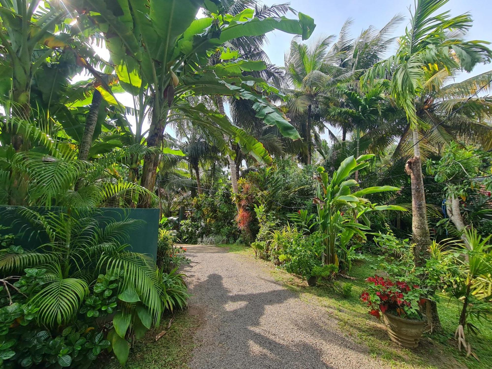Hill Side Kings Villa Hikkaduwa Exterior foto